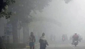 मोतिहारी के गढ़वा खजुरिया गांव में सरकारी नौकरी की बौछार, 80 से ज्यादा युवक-युवतियों ने सरकारी शिक्षक बनकर गांव का नाम रोशन किया! 5 Bihar News