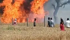 बिहार समाचार: जमुई में घर से लापता युवक का शव तालाब से मिला, मौत की आशंका 5 A Devastating Fire Caused By A Short Circuit Destroyed 19 Bighas Of Paddy Crops In Nalanda, Bihar, Affecting 10 Farmers.