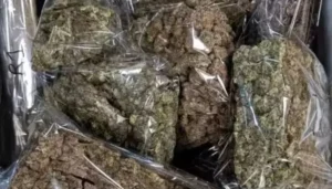 Bihar News: ई-सिगरेट तस्करी मामले में रेलवे स्टेशन प्रबंधक सस्पेंड, कोचिंग सुपरिटेंडेंट पर भी गिरी गाज 4 Bihar News