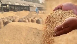 बिहार समाचार: अगर दुबई जाकर बुर्ज खलीफा नहीं देखा तो कटिहार में देखिए, 20 लाख की लागत से बना भव्य पंडाल 4 A Graphical Representation Of The Rice Procurement Process In Bihar, Highlighting The Highest And Lowest-Performing Districts In Terms Of Rice Sales. The Image Shows A Map Of Bihar With Color-Coded Districts Based On The Amount Of Rice Sold By Farmers.