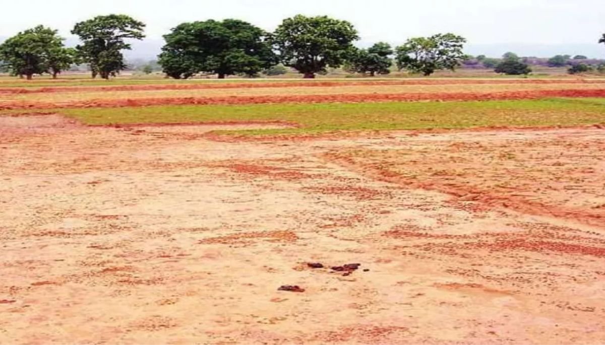 A group of criminals forcibly entered a house in Patna, abducting five people due to a land dispute, sparking panic in the area.