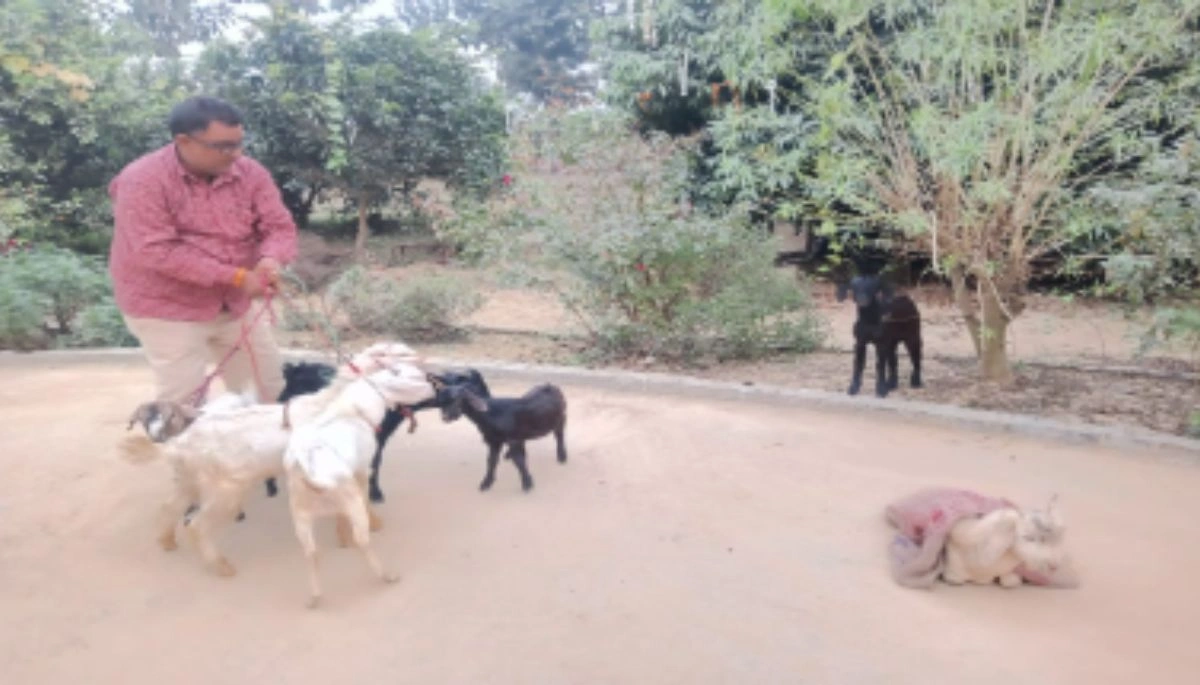 Motiari Police crackdown on animal and bird smuggling, several traffickers arrested with animals and birds at various check-posts.