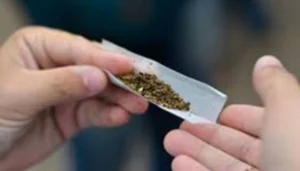 Two Drug Smugglers Arrested By Betiya Majauliya Police With 1.38 Kg Of Cannabis, Worth 28 Lakhs, During A Major Bust.