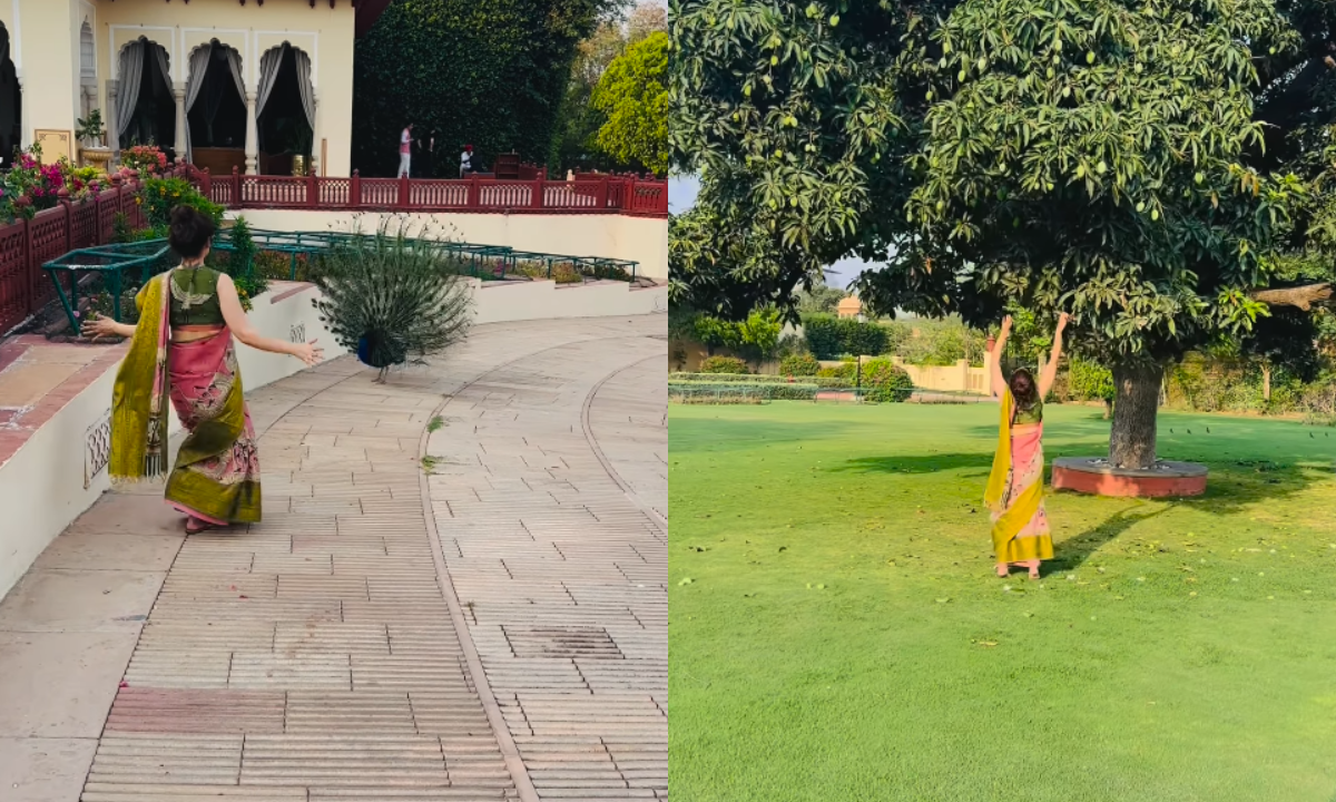 Kangana Ranaut Viral Video: कंगना रनौत का मोर के साथ नाचते हुए वीडियो वायरल 3 Kangana Ranaut Viral Video: कंगना रनौत मोर के साथ नाचते हुए और पेड़ से आम तोड़ते हुए, खुशी और जीवन के महत्व पर संदेश देते हुए।