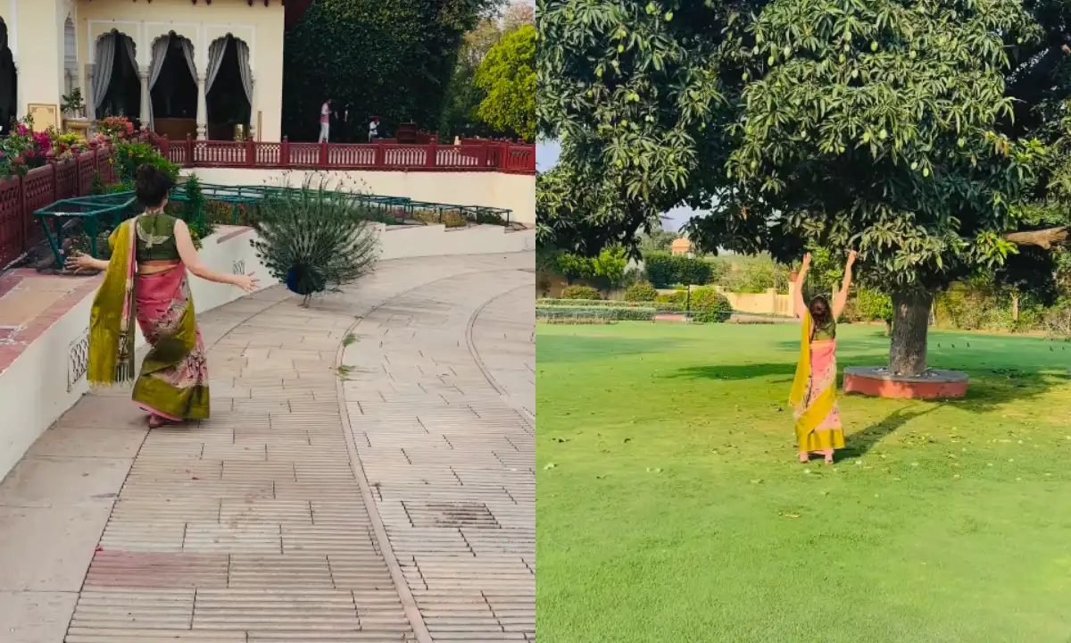 Kangana Ranaut Viral Video: कंगना रनौत मोर के साथ नाचते हुए और पेड़ से आम तोड़ते हुए, खुशी और जीवन के महत्व पर संदेश देते हुए।