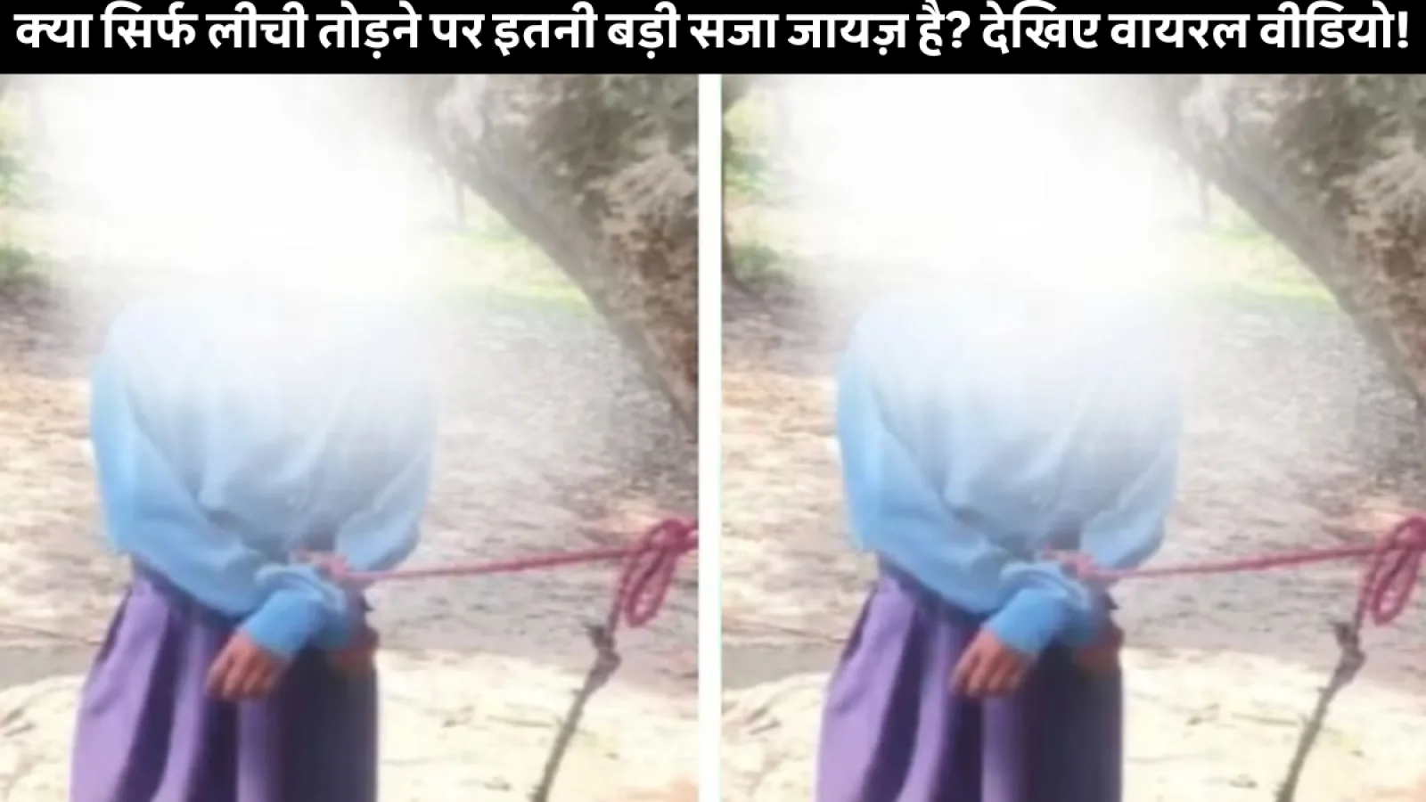 Samastipur की बच्ची ने तोड़ी लीची, गांव वालों ने कर डाली हैरान करने वाली सजा – वीडियो देख रह जाएंगे दंग!