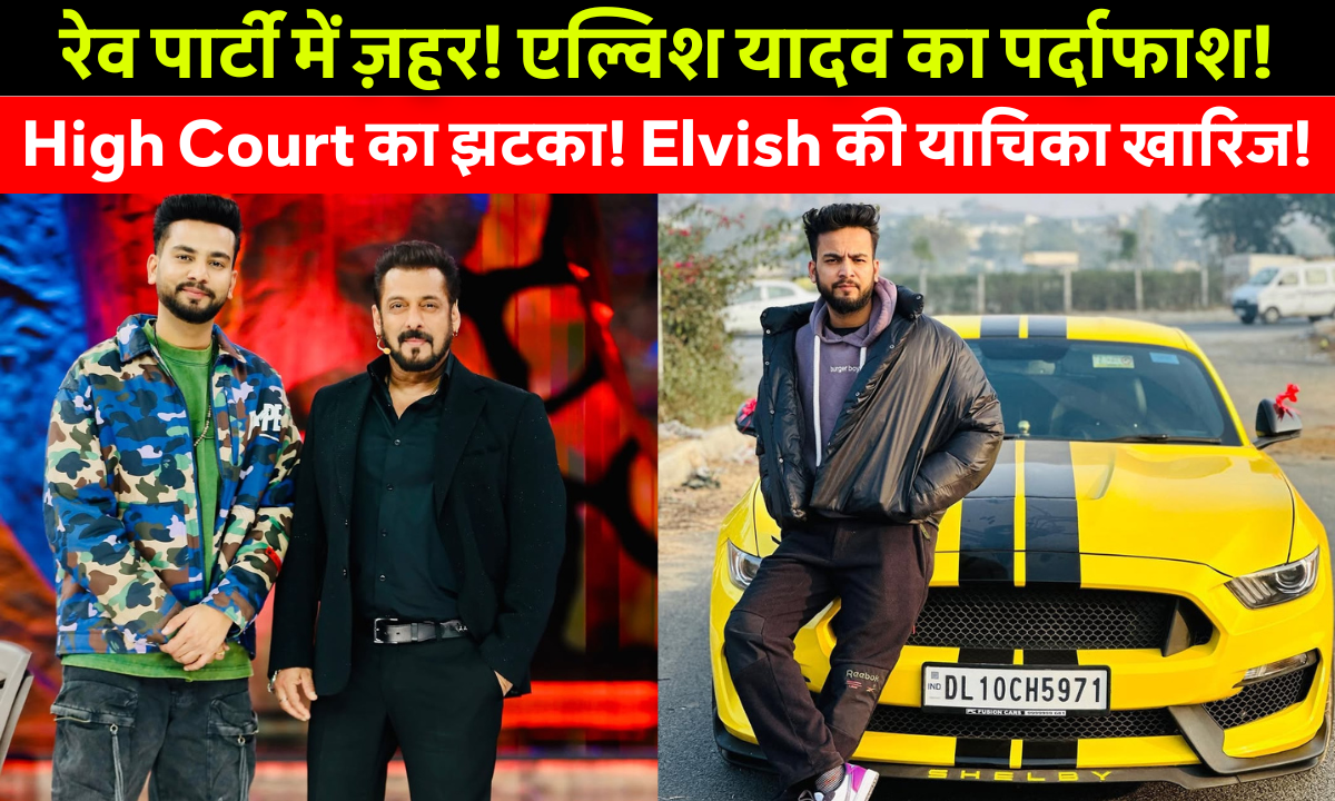 इलाहाबाद हाईकोर्ट में Youtuber Elvish Yadav की याचिका खारिज, सांपों के ज़हर और रेव पार्टी मामले में कानूनी कार्रवाई जारी