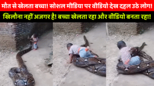 Pune School Girl Viral Video: पुणे में स्कूल से लौट रही छात्रा पर सिरफिरे का हमला – वीडियो वायरल 5 Child Playing With Giant Python In Viral Video On Social Media – Dangerous Moment Captured