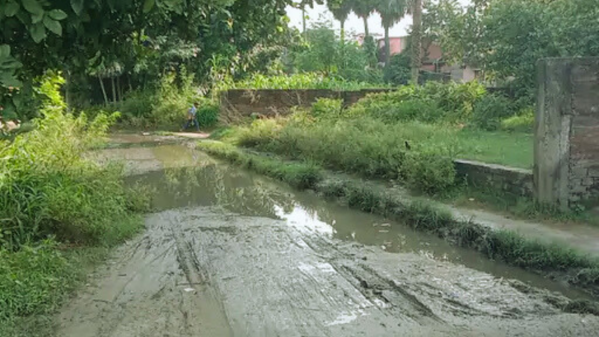 Samastipur Chingiya Dam Road पर जलजमाव और गड्ढों से भरी टूटी हुई सड़क की तस्वीर