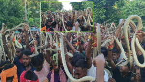Samastipur News: समस्तीपुर में मुखिया संघ के अध्यक्ष नारायण शर्मा की गोली मारकर हत्या, आक्रोशित भीड़ ने किया सड़क जाम 2 Samastipur Snake Viral Video में नागपंचमी के मौके पर सिंघिया घाट पर सांपों के साथ पूजा करते श्रद्धालु