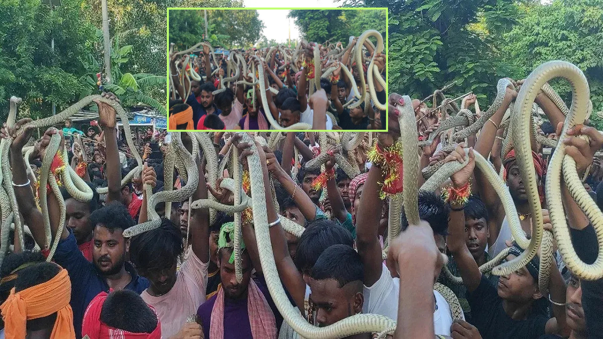 Samastipur Snake Viral Video में नागपंचमी के मौके पर सिंघिया घाट पर सांपों के साथ पूजा करते श्रद्धालु