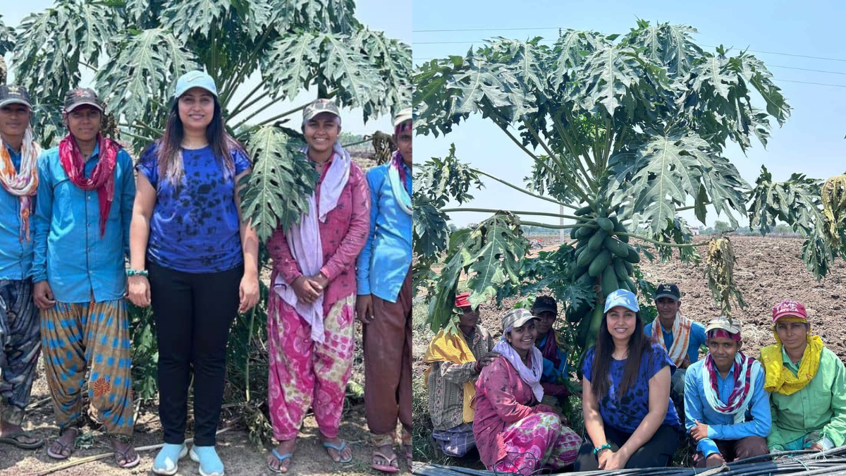 Smarika Chandrakar Success Story: कॉर्पोरेट जॉब छोड़ खेती में रचा सफलता का इतिहास 2 Smarika Chandrakar Success Story – Mba Graduate Turned Farmer Earning Crores By Selling Tomatoes In Chhattisgarh