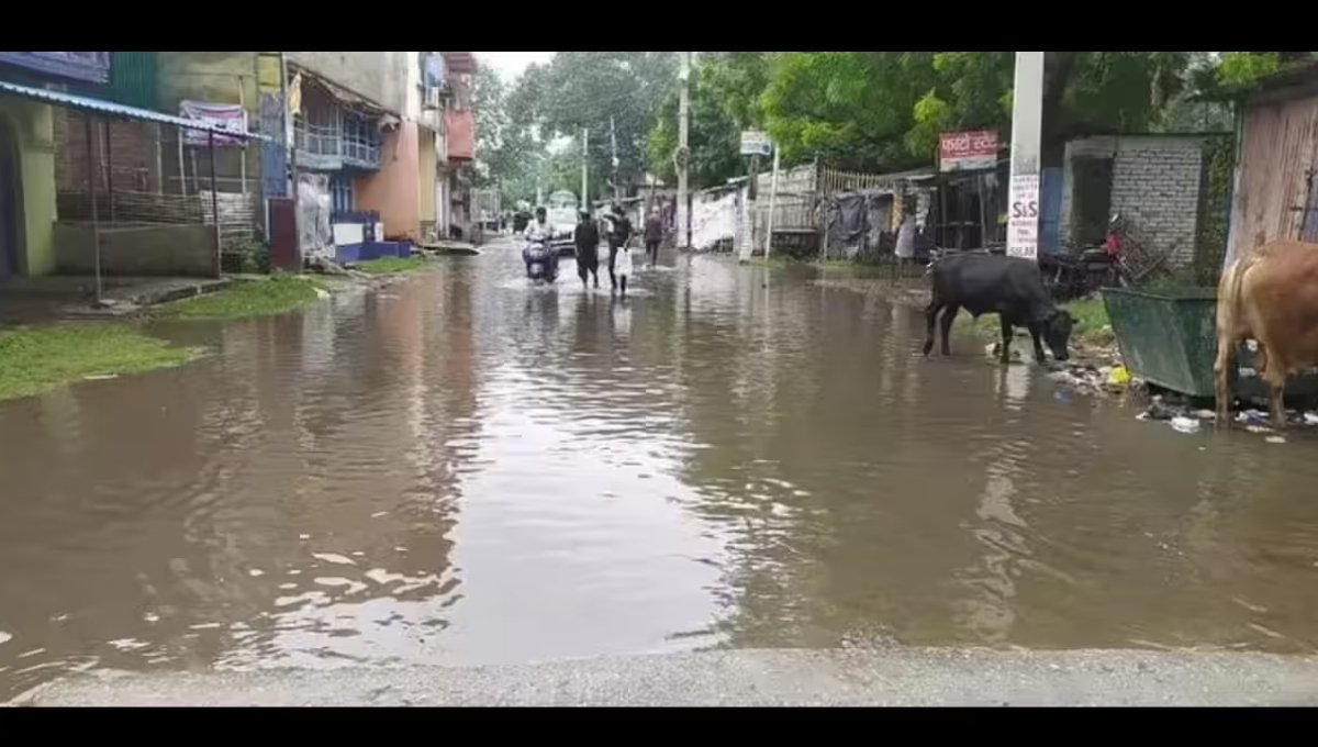 Water Logging ने किया पटना को बेहाल, दानापुर में घंटों फंसे रहे वाहन 6 Water Logging: भारी बारिश के बाद Patna के Danapur इलाके की सड़कों पर पानी भर गया है, जिससे वाहन जाम में फंसे हुए हैं और लोग भारी परेशानी का सामना कर रहे हैं।