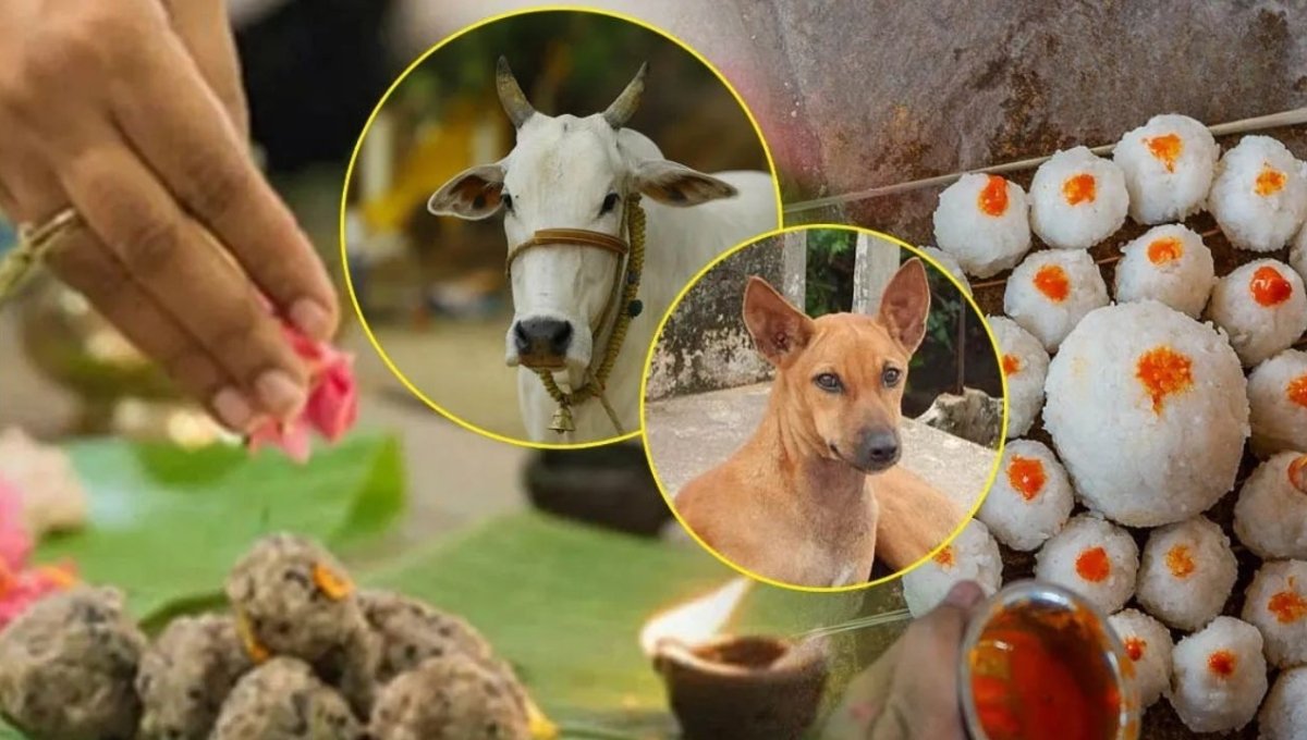 Pitru Paksha 2025: श्राद्ध कर्म, परंपरा और जानवरों के श्राद्ध पर शास्त्रीय मत 2 Pitru Paksha 2025