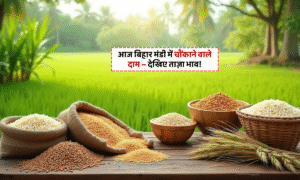 Smarika Chandrakar Success Story: कॉर्पोरेट जॉब छोड़ खेती में रचा सफलता का इतिहास 5 Aaj Bihar Mandi Ka Bhav 19 September 2025 – बिहार मंडी फसल दाम ताज़ा रिपोर्ट