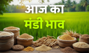 Samastipur News: Senior Citizen सीनियर सिटीजन को Fd पर बैंक दे रहा सबसे ज्यादा ब्याज Fixed Deposit Interest Rate चेक करें 3 Aaj Ka Mandi Ka Bhav 19 September 2025: गेहूं, चना, सरसों और सोना-चांदी की ताज़ा कीमतें