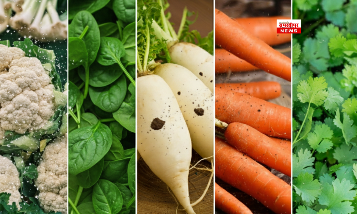 October Vegetable Farming Profit – अक्टूबर में पालक, गाजर, मूली, धनिया और गोभी की खेती से किसानों को बड़ा मुनाफा