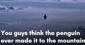 Nilhist Penguin Meme: पहाड़ों की तरफ अकेला क्यों चला ये पेंगुइन? Viral Video के पीछे की Science