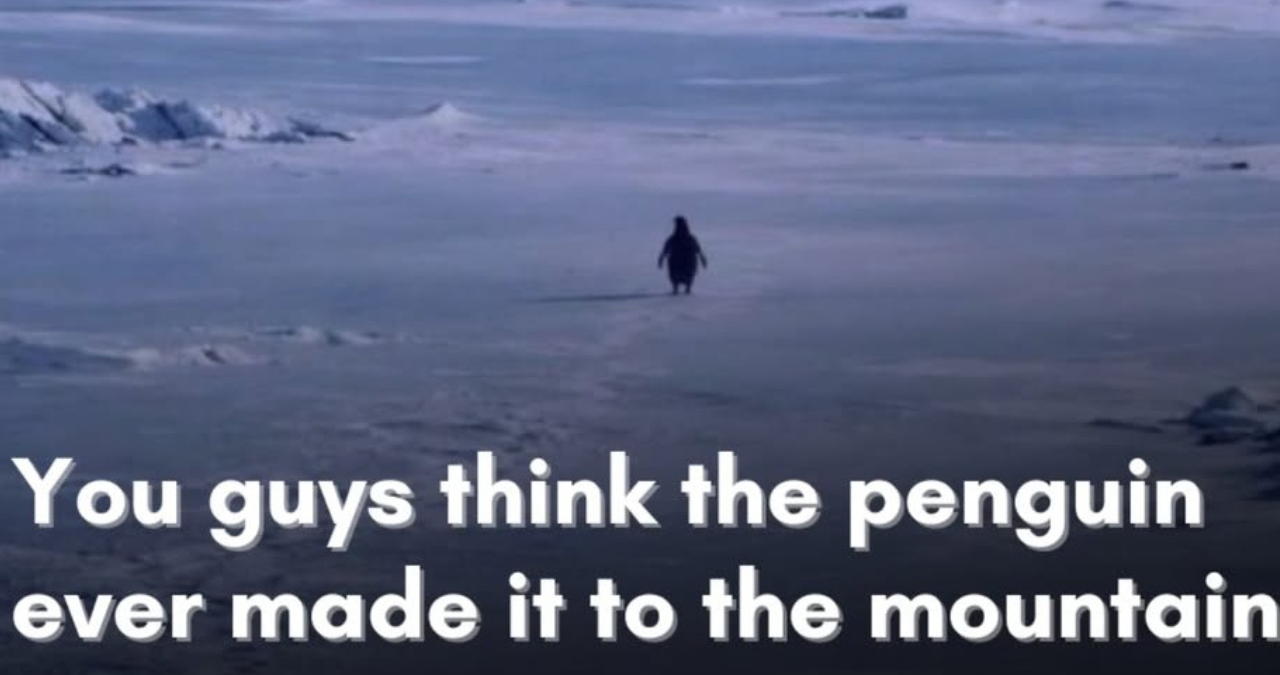 Nilhist Penguin Meme: पहाड़ों की तरफ अकेला क्यों चला ये पेंगुइन? Viral Video के पीछे की Science