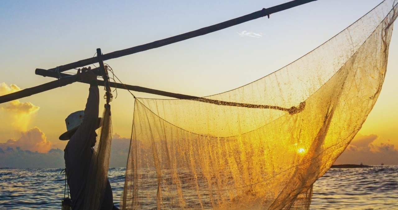 Odisha के Mayurbhanj जिले में मछली पकड़ते-पकड़ते चली गई जान! गले में फंसी मछली बनी मौत की वजह